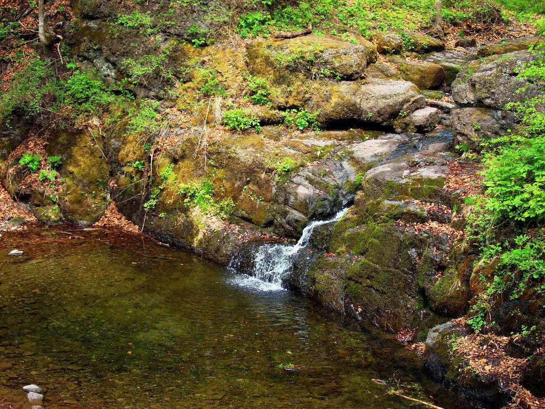 *** ����� ���������  �� PhotoGeek.ru #������ ��� �������