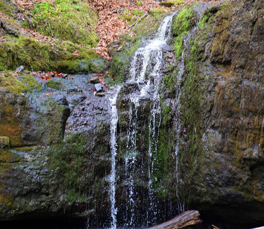 *** ����� ���������  �� PhotoGeek.ru #������ ��� �������