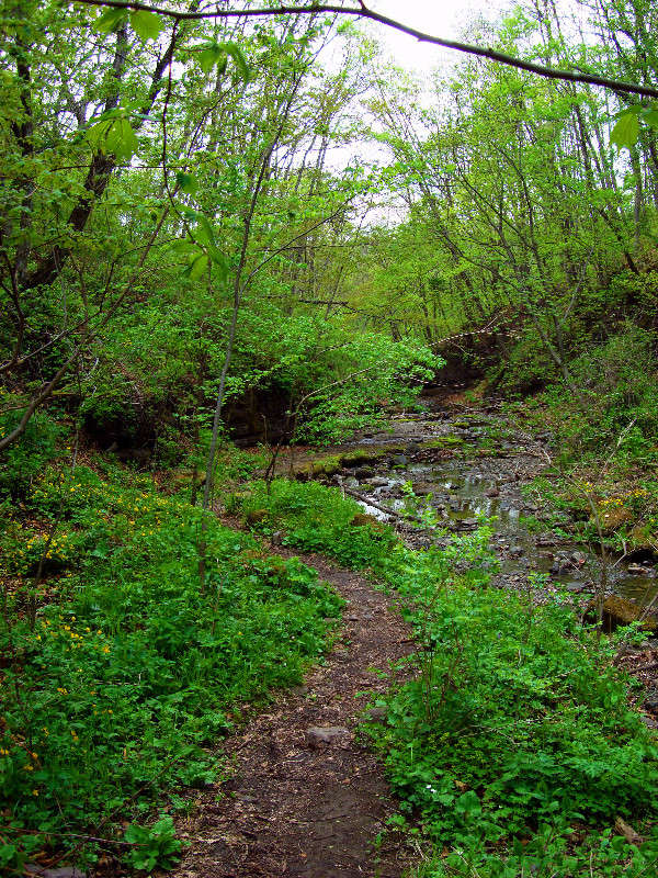 *** ����� ���������  �� PhotoGeek.ru #������ ��� ������� #���������. TS.�����������.