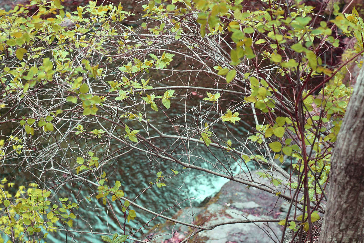 *** ����� ���������  �� PhotoGeek.ru #������ ��� ������� #���������. TS.�����������.