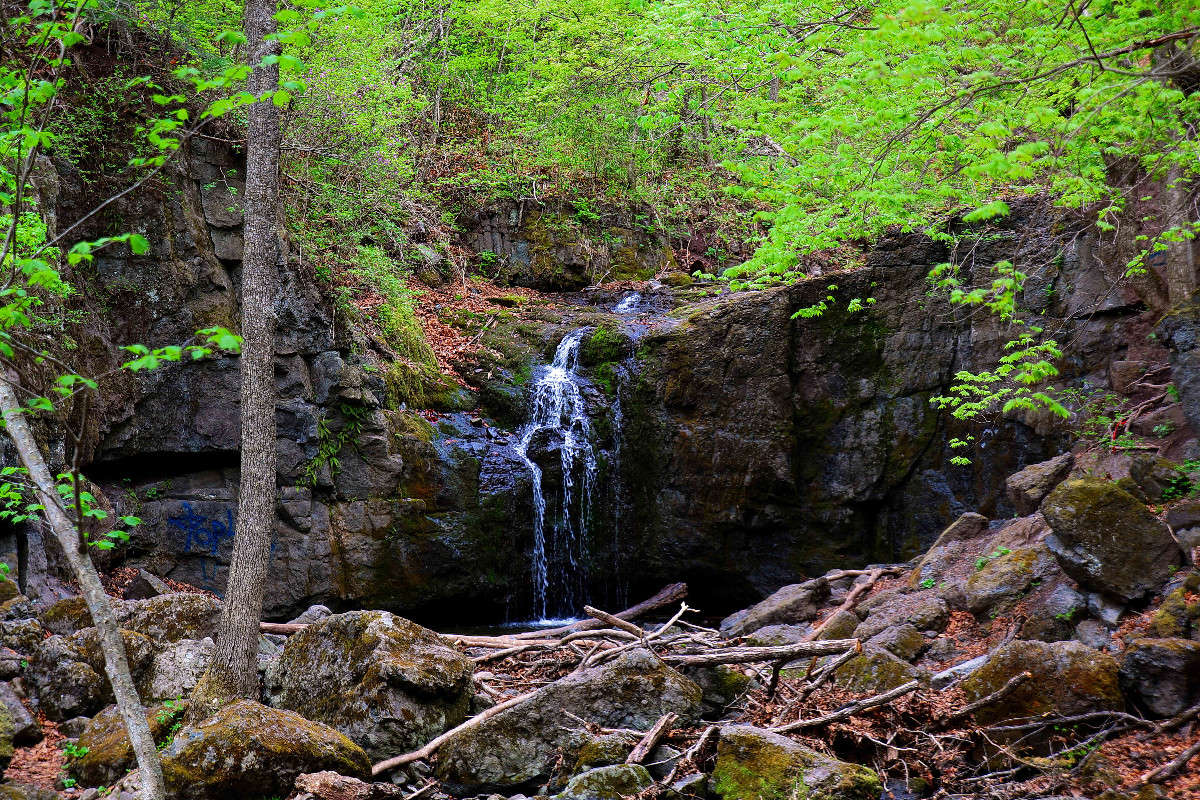 *** ����� ���������  �� PhotoGeek.ru #������ ��� ������� #���������. TS.�����������.