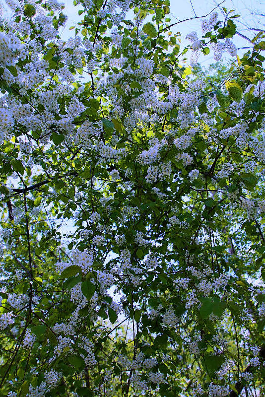 *** ����� ���������  �� PhotoGeek.ru #������ ��� ������� #���������. TS.