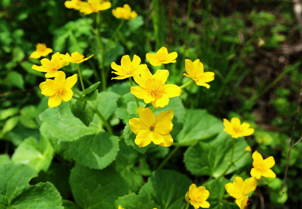 *** ����� ���������  �� PhotoGeek.ru #������ ��� ������� #���������. TS.