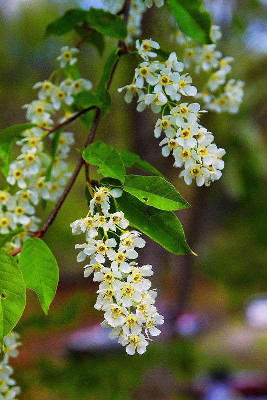 *** ����� ���������  �� PhotoGeek.ru #������ ��� ������� #���������. TS.