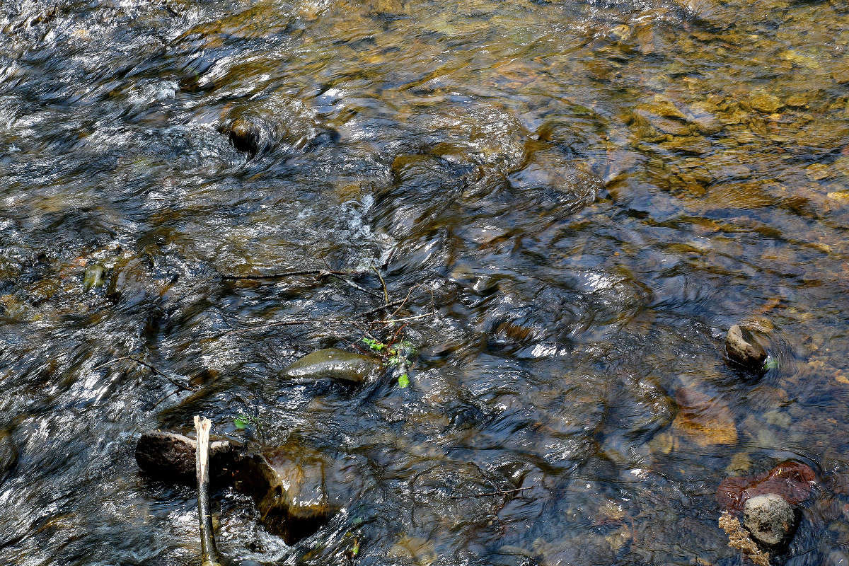 *** ����� ���������  �� PhotoGeek.ru #������ ��� ������� #���������. TS.