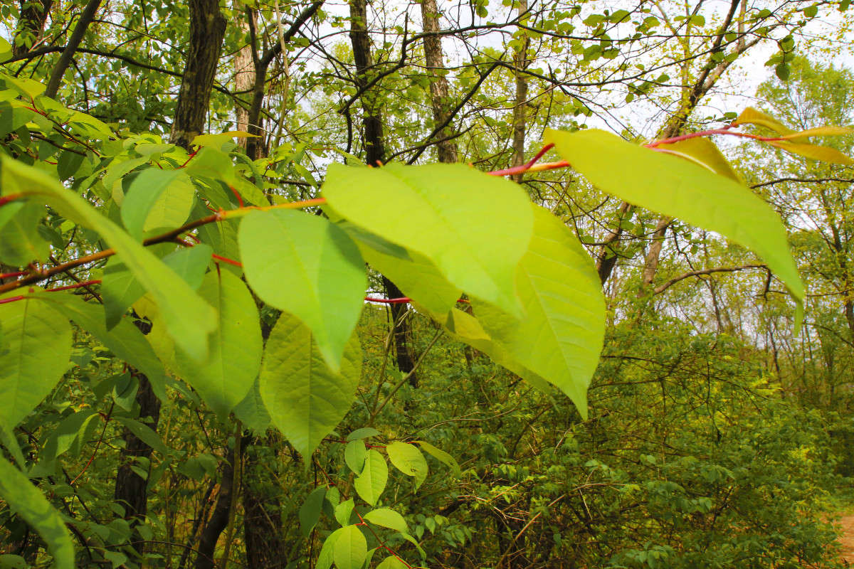 *** ����� ���������  �� PhotoGeek.ru #������ ��� ������� #���������. TS.