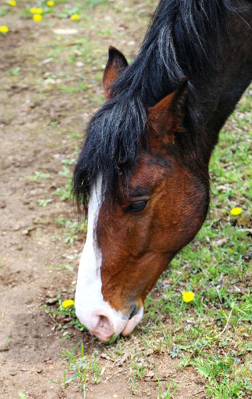 *** ����� ���������  �� PhotoGeek.ru #�������� ��� #���������. TS.