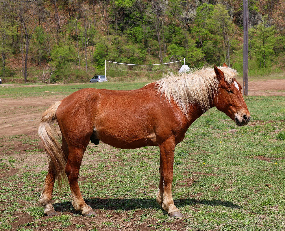 *** ����� ���������  �� PhotoGeek.ru #�������� ��� #���������. TS.