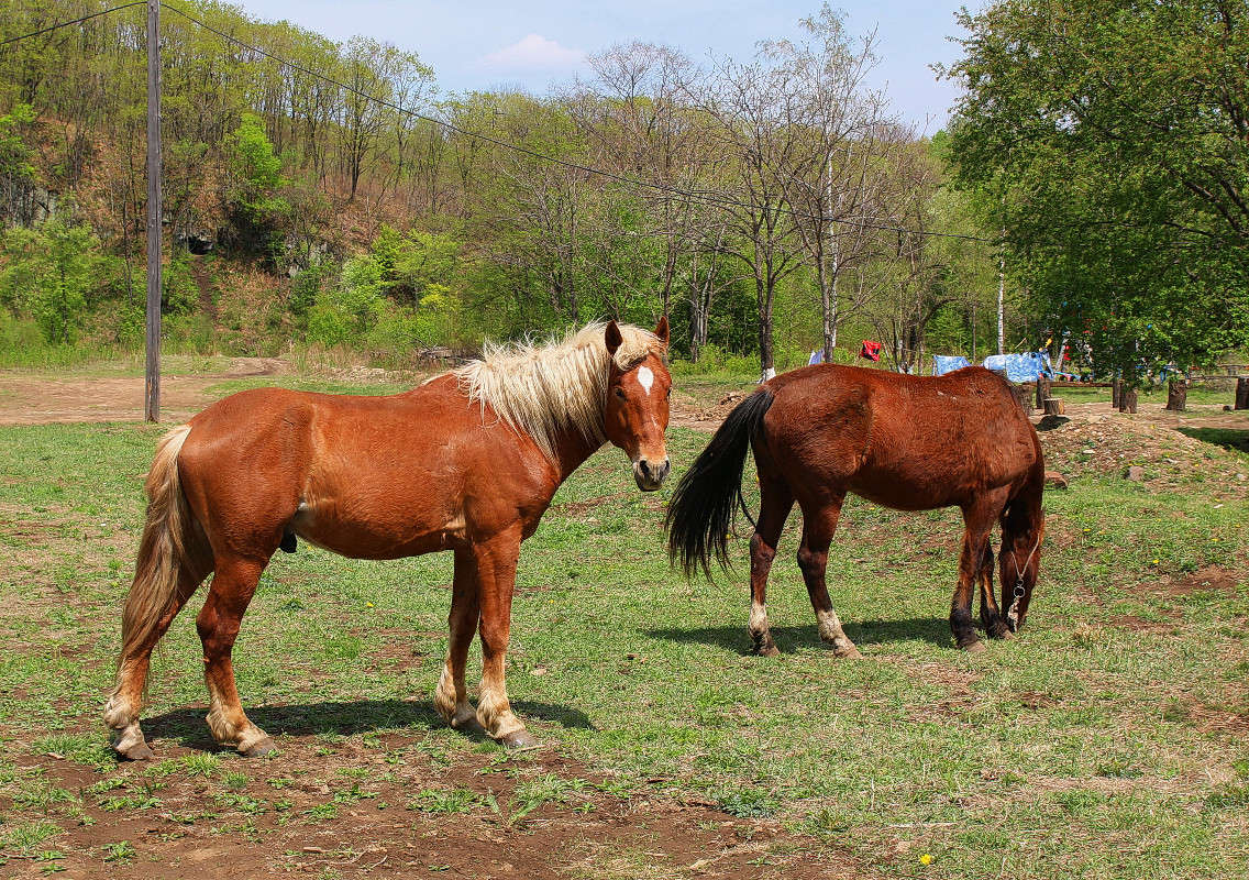 *** ����� ���������  �� PhotoGeek.ru #�������� ��� #���������. TS.