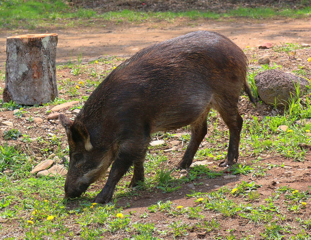 *** ����� ���������  �� PhotoGeek.ru #�������� ��� #���������. TS.