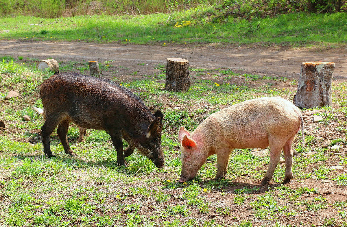 *** ����� ���������  �� PhotoGeek.ru #�������� ��� #���������. TS.