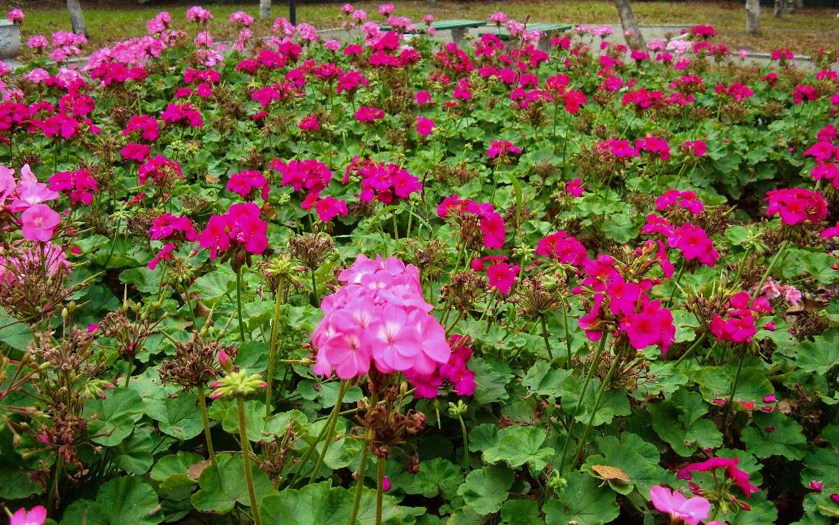 *** ����� ���������  �� PhotoGeek.ru #����� #�������� #���������. TS.