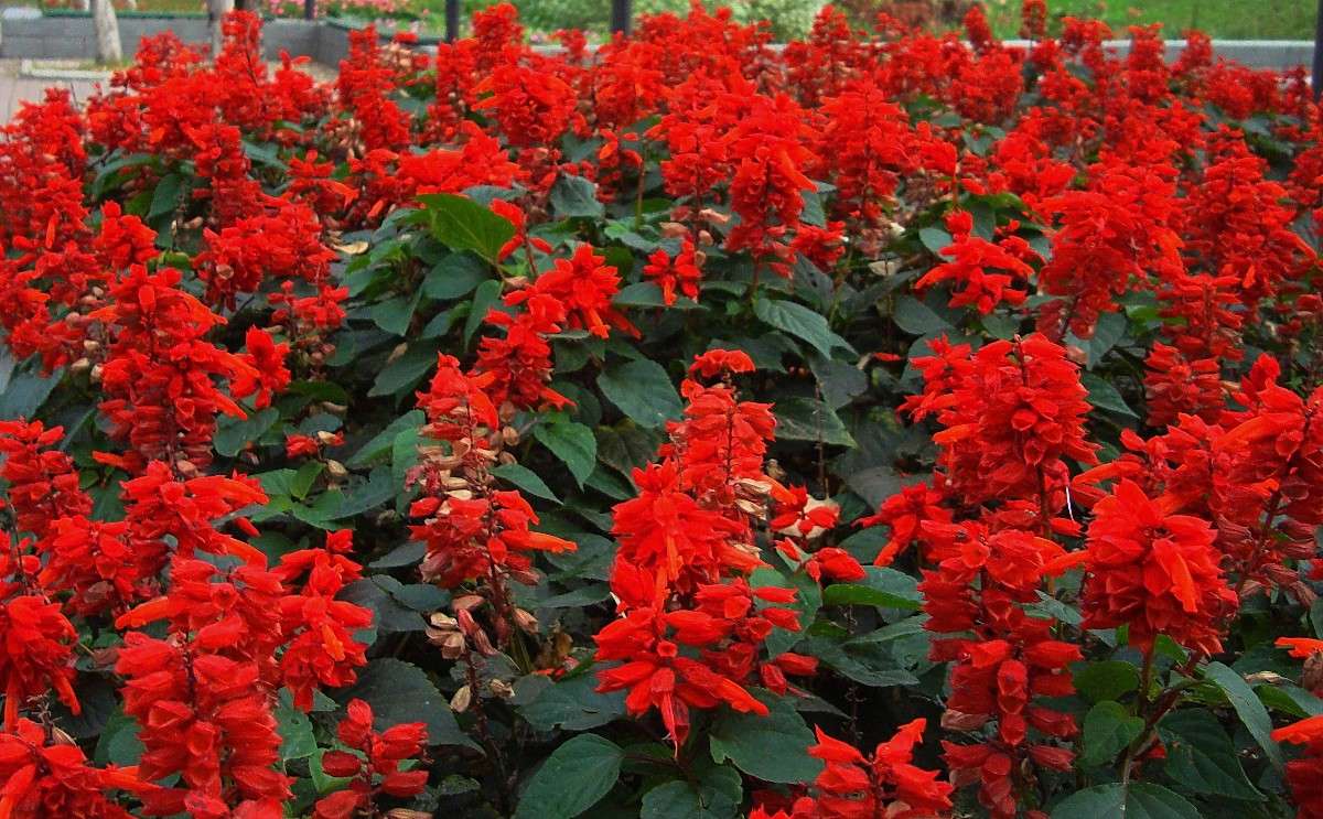 *** ����� ���������  �� PhotoGeek.ru #������ ��� ������� #���������. TS. #����� ��������������