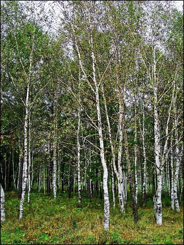 ������. ����� ���������  �� PhotoGeek.ru #������ ��� ������� #���������. TS. #����� ��������������