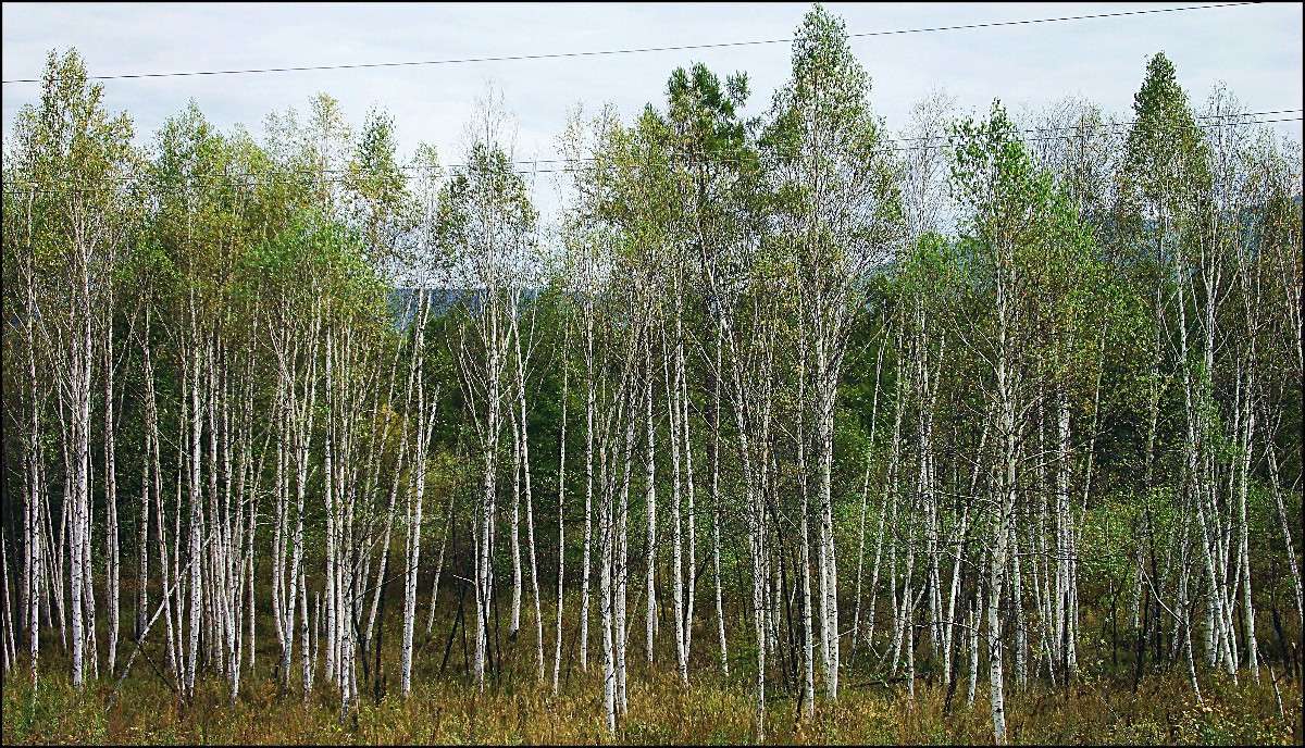 ��������� ����. ����� ���������  �� PhotoGeek.ru #������ ��� ������� #���������. TS. #����� ��������������