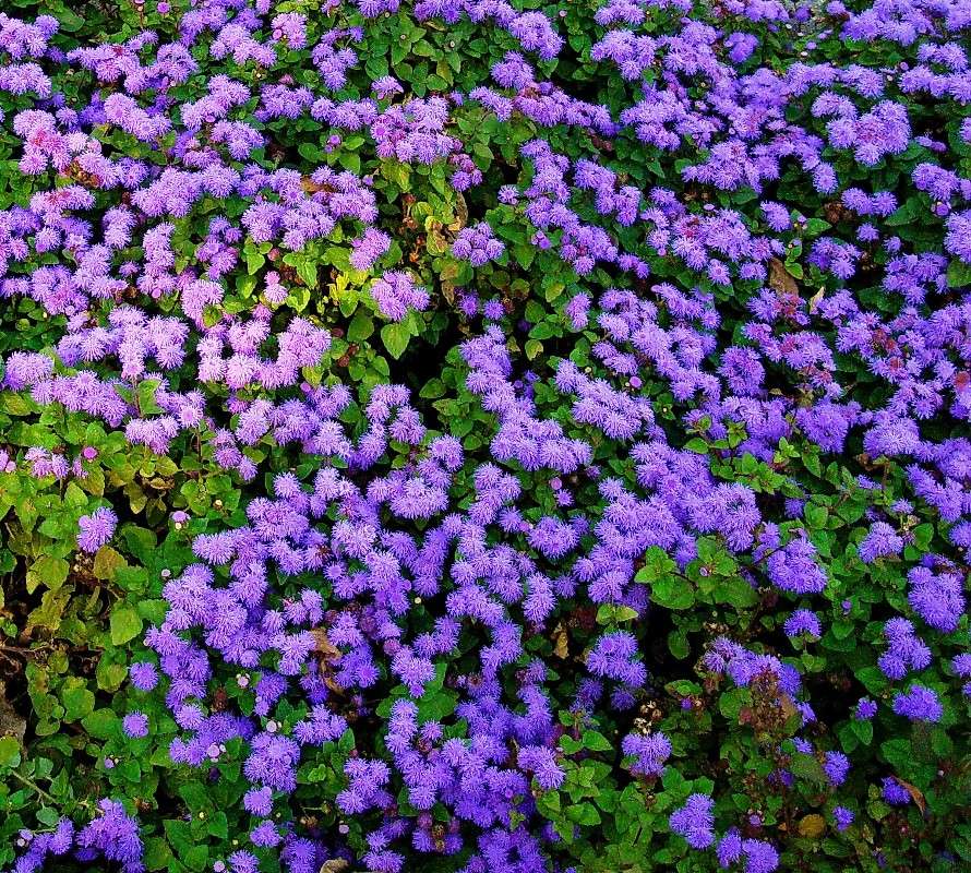 ��������� �����. ����� ���������  �� PhotoGeek.ru #������ ��� ������� #���������. TS. #����� ��������������