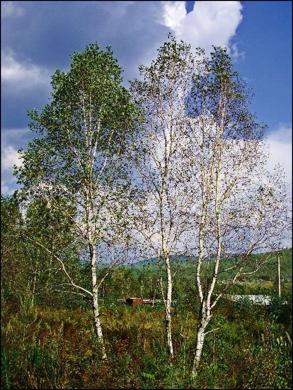 ��� ���������. ����� ���������  �� PhotoGeek.ru #������ ��� ������� #���������. TS.