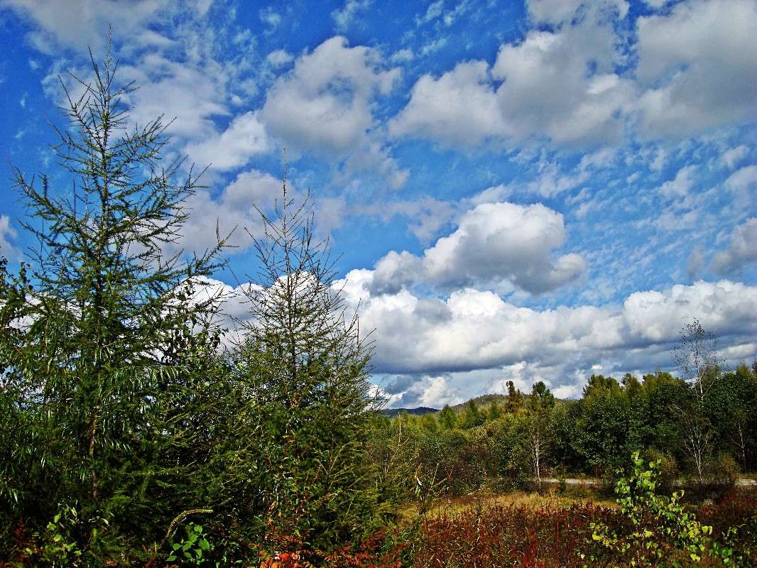 ������� ������ ������� ����� ���������  �� PhotoGeek.ru #������ ��� ������� #���������. TS.