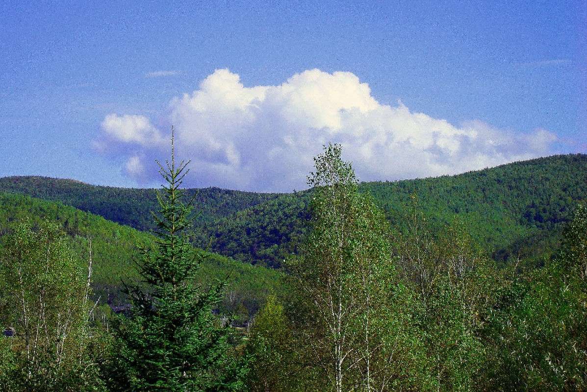 ���������. ����� ���������  �� PhotoGeek.ru #������ ��� ������� #���������. TS.