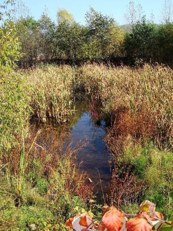 �������� ������. ����� ���������  �� PhotoGeek.ru #������ ��� ������� #���������. TS.