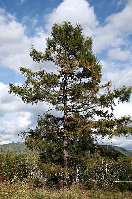 ������ �����. ����� ���������  �� PhotoGeek.ru #������ ��� ������� #���������. TS.