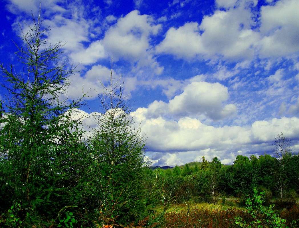 ����� ������. ����� ���������  �� PhotoGeek.ru #������ ��� ������� #���������. TS.