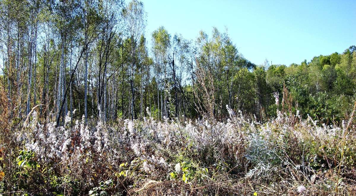 *** ����� ���������  �� PhotoGeek.ru #������ ��� ������� #���������. TS.