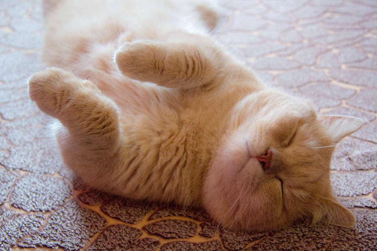 ... ����� ���� ����������� �� PhotoGeek.ru #�������� ���