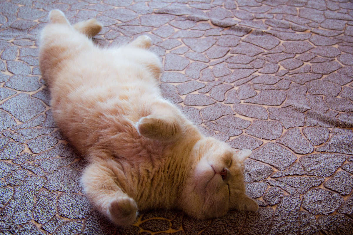 ... ����� ���� ����������� �� PhotoGeek.ru #�������� ���