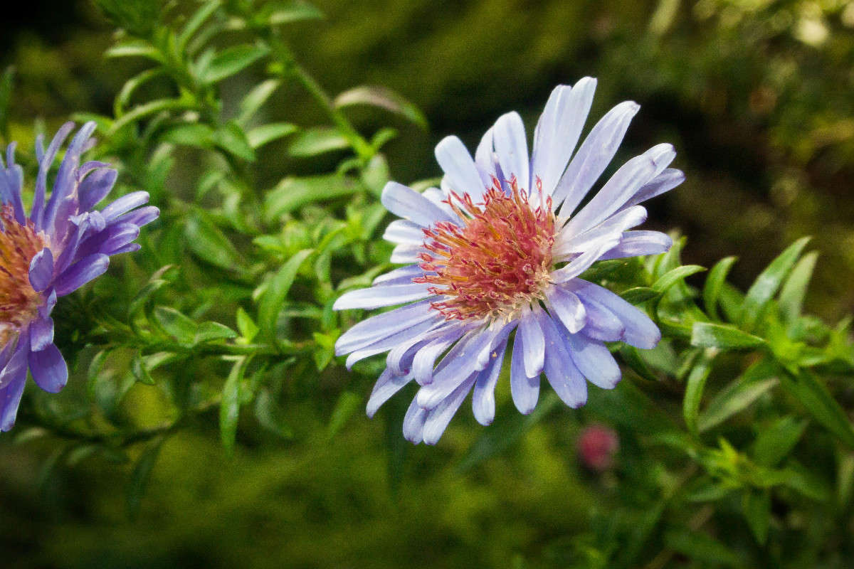 ������� �����   �� PhotoGeek.ru #������ ��� �������