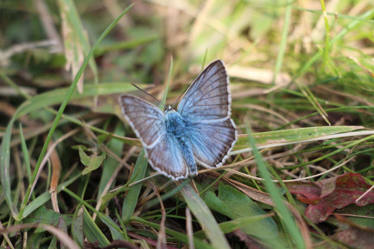 ���������� ������� ����� ����� ���������  �� PhotoGeek.ru #����� #�������� ��� #������ ��� �������