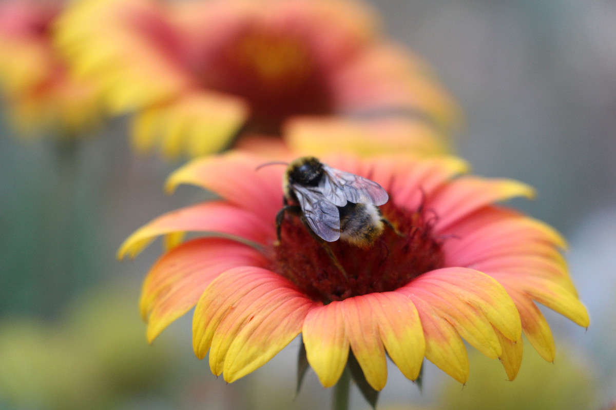 ����� �������:) ����� ���������  �� PhotoGeek.ru #����� #���������