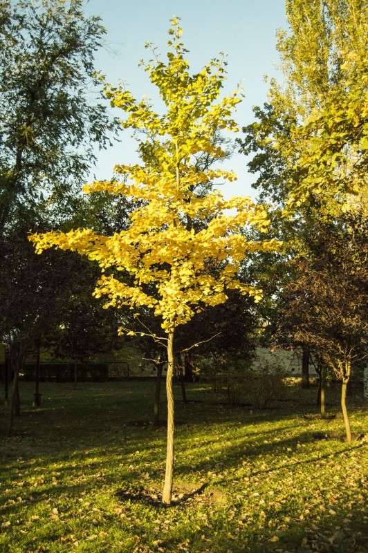 F2 ����� ��������� ������ �� PhotoGeek.ru #������ ��� �������