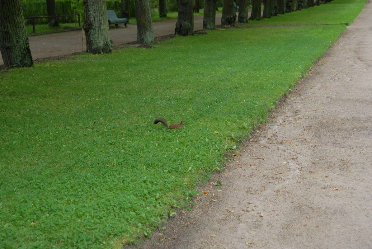 ����� ����� Alex Carter �� PhotoGeek.ru #�������� ��� #������ ��� �������