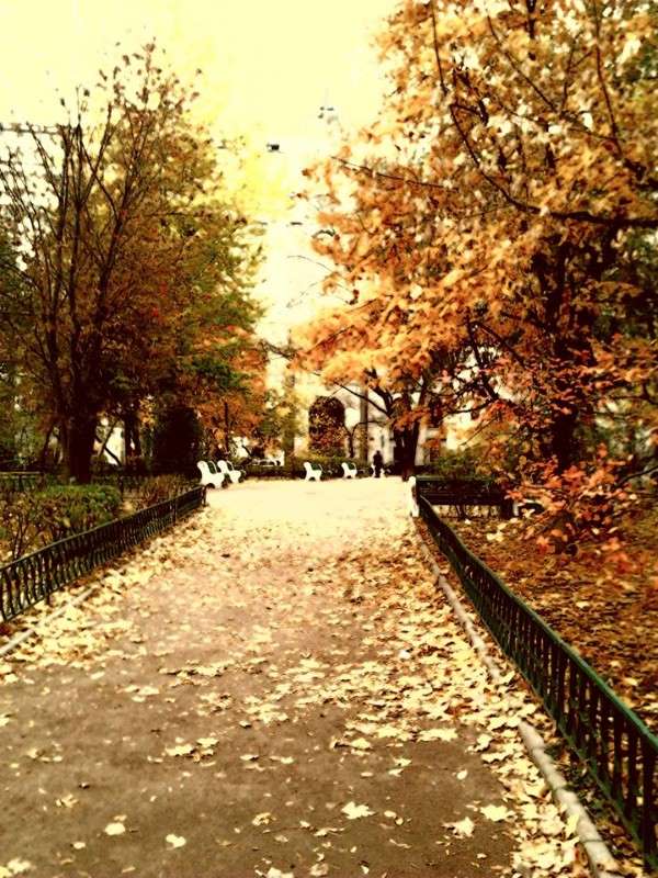 ������ ����� Alex Carter �� PhotoGeek.ru #����� #��������� ������