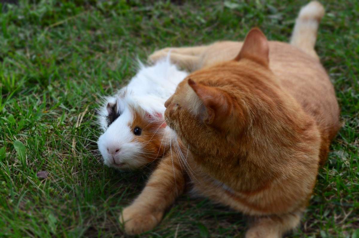 ... ����� ��������  �� PhotoGeek.ru #�������� ���