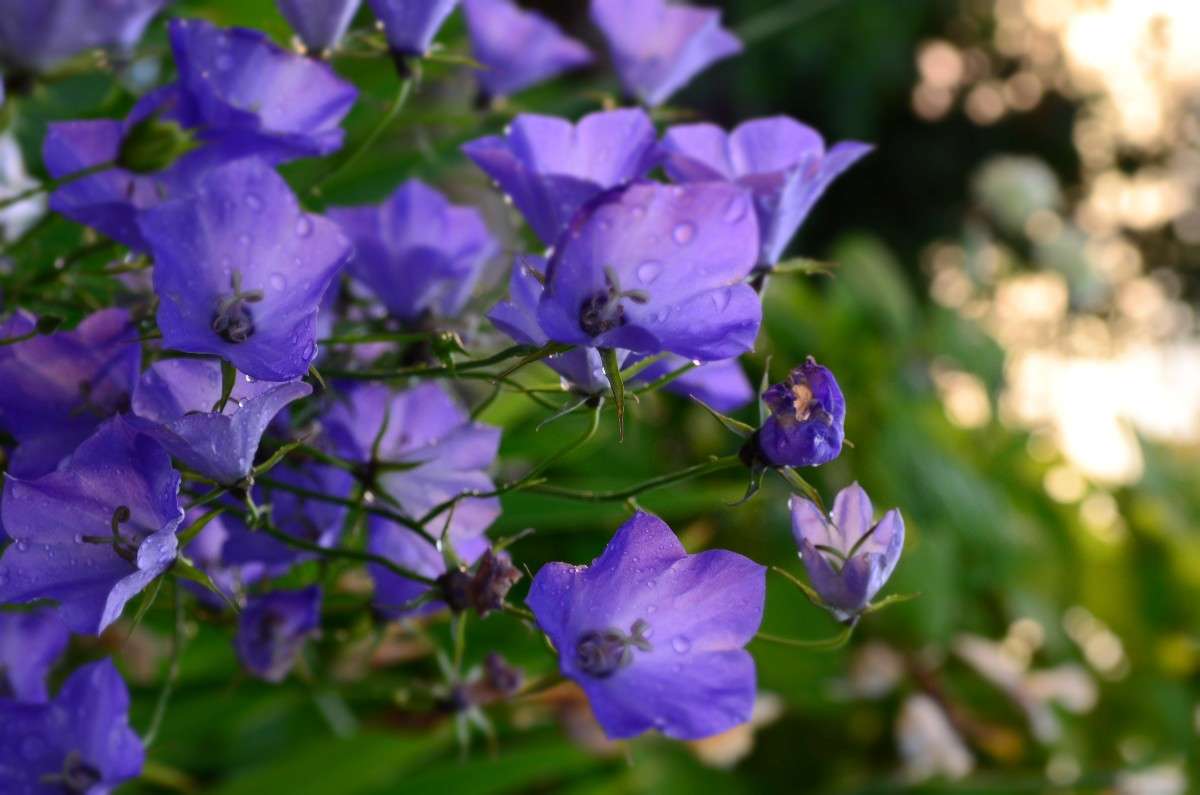 |����� ����� ����� ��������  �� PhotoGeek.ru #����� #������ ��� �������