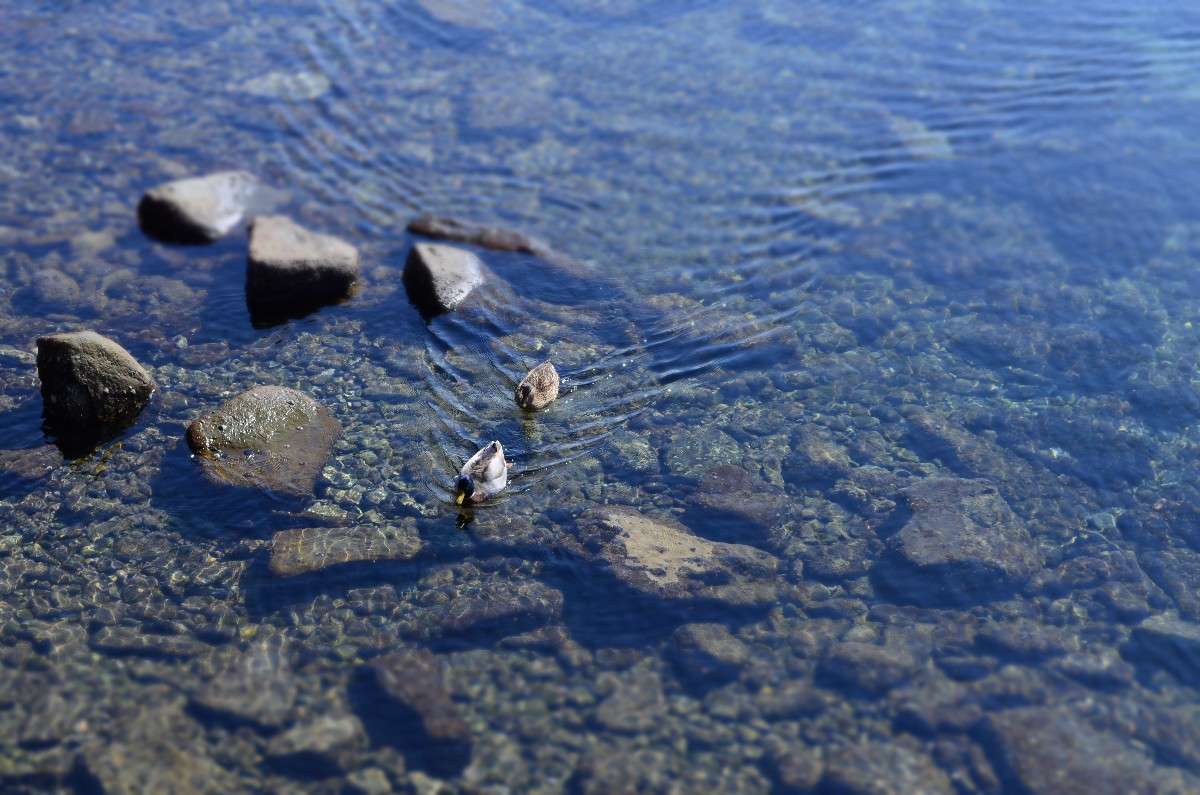 ... ����� ��������  �� PhotoGeek.ru #�������� ��� #������ ��� �������