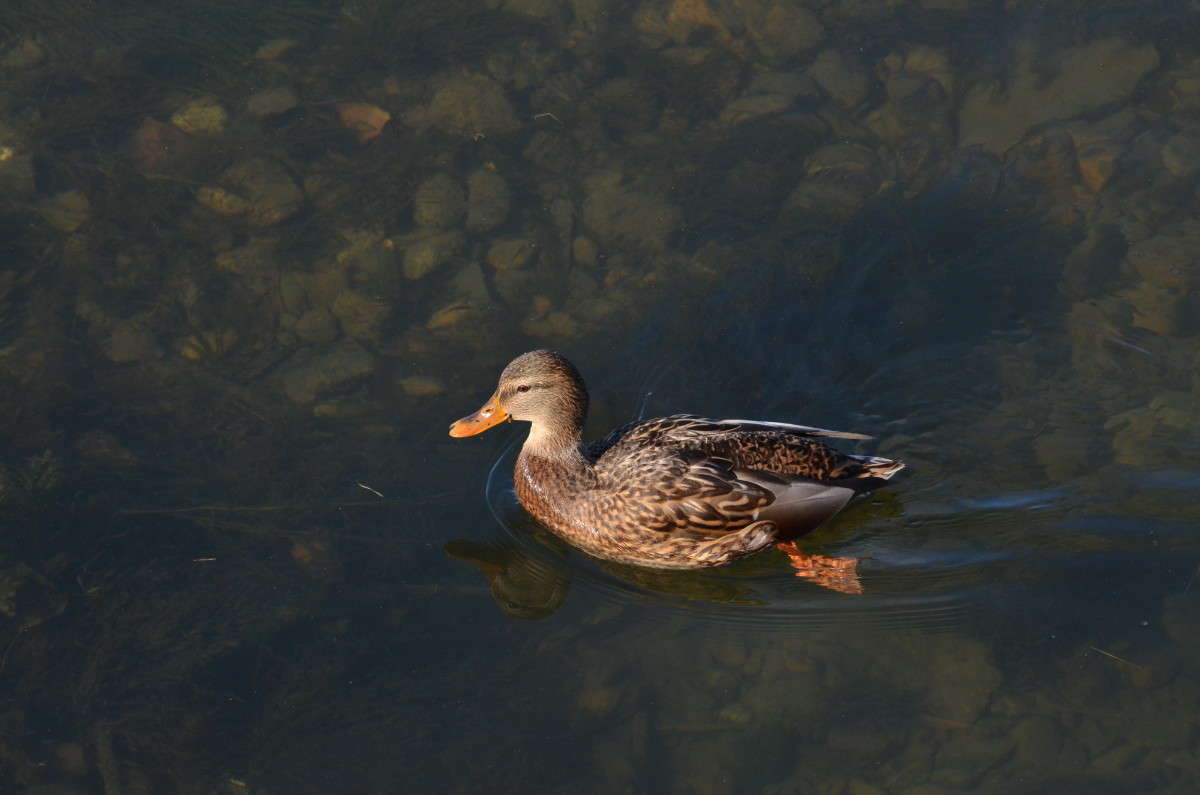 ... ����� ��������� �������� �� PhotoGeek.ru #�������� ��� #����� ��� ��� ���������