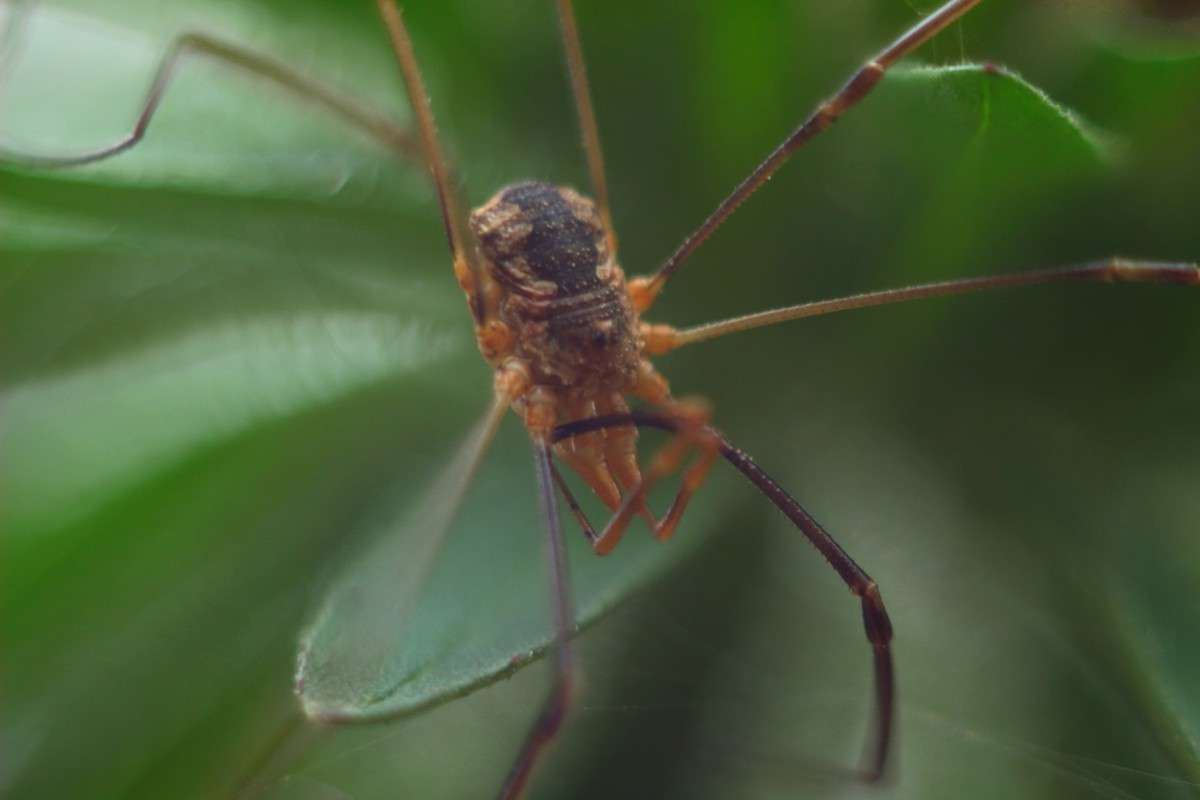 ... ����� ������� ������ �� PhotoGeek.ru #����� #����� ��������������