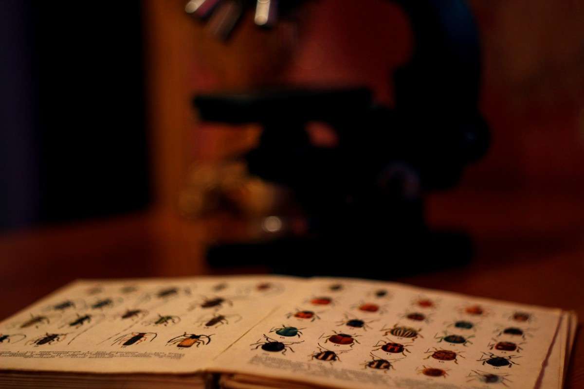 ... ����� ������� ������ �� PhotoGeek.ru #���������