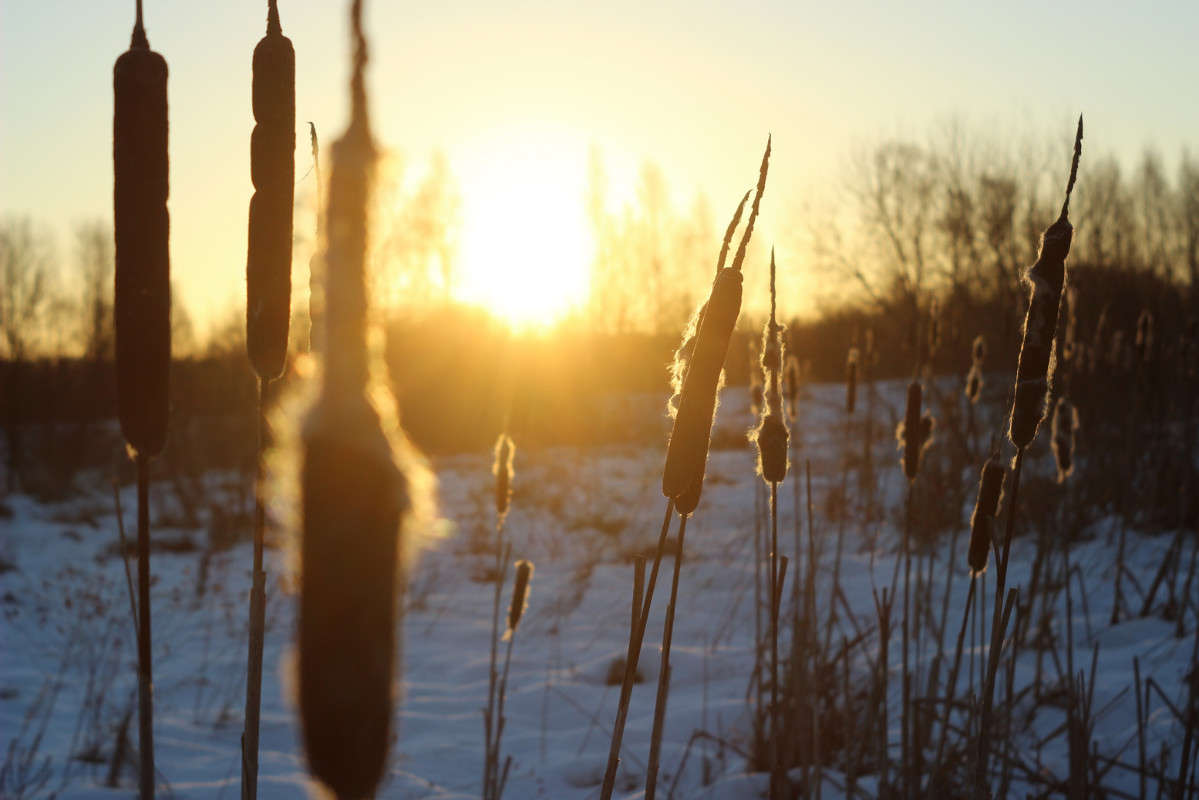 �������� ������� ����� ������� ������ �� PhotoGeek.ru #������ ��� �������