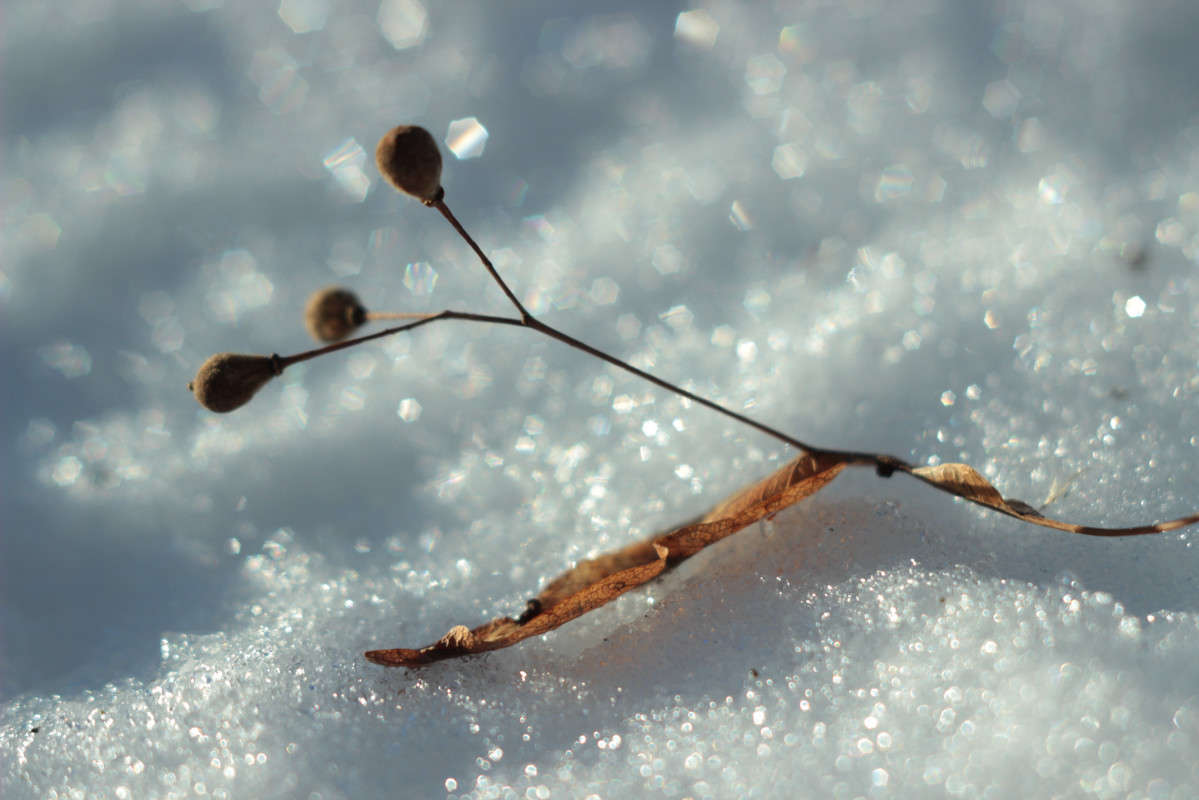 ... ����� ������� ������ �� PhotoGeek.ru #�����