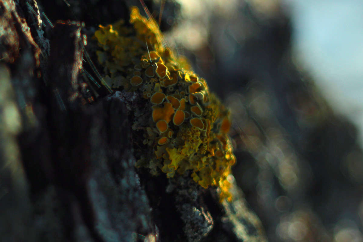 ... ����� ������� ������ �� PhotoGeek.ru #����� #����� ��������������