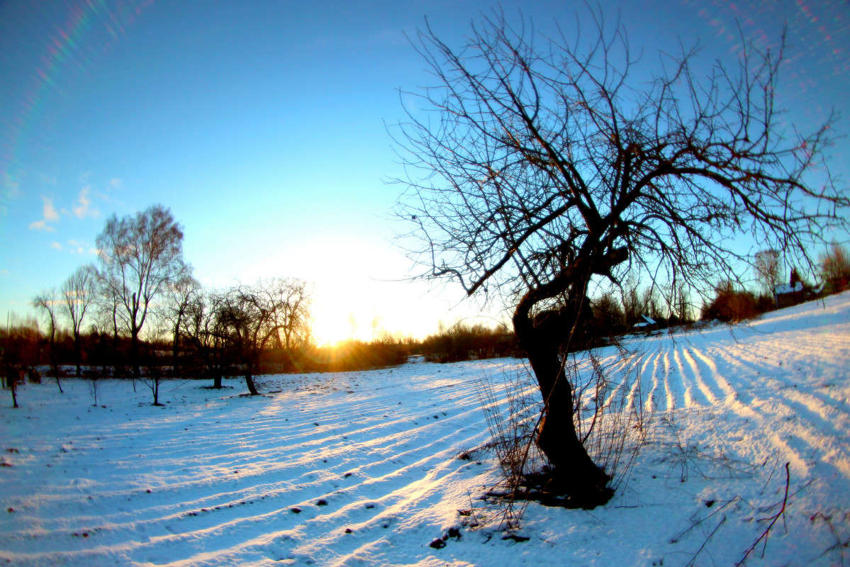 ... ����� ������� ������ �� PhotoGeek.ru #������ ��� �������