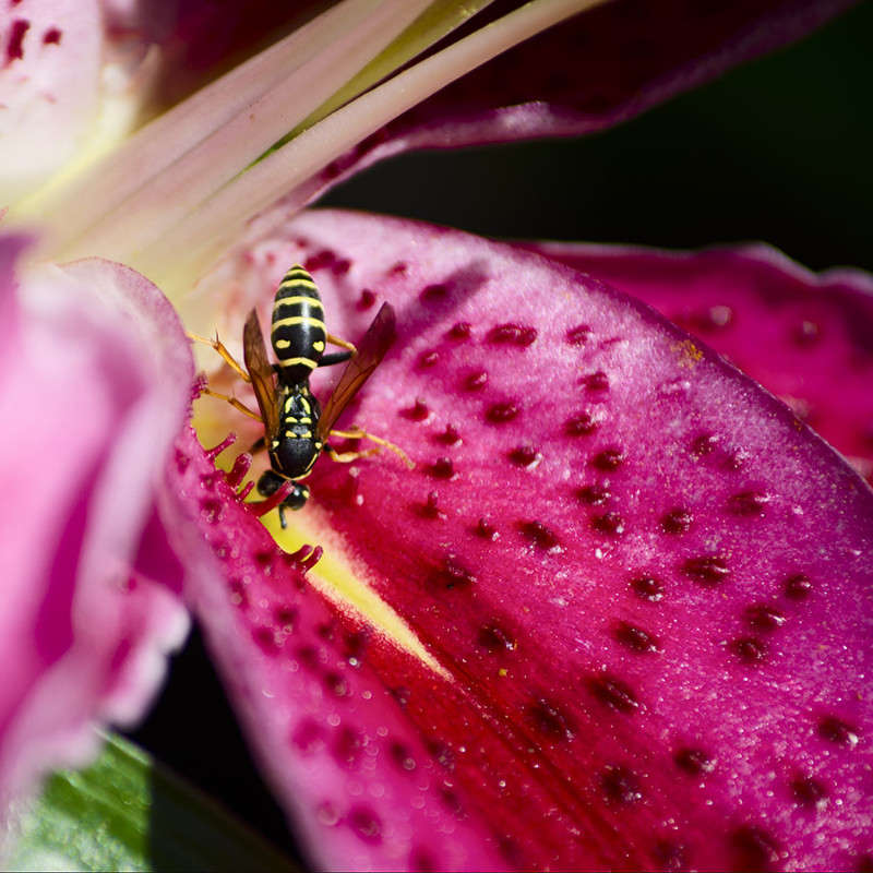 ... ����� ����  �� PhotoGeek.ru #����� #���������