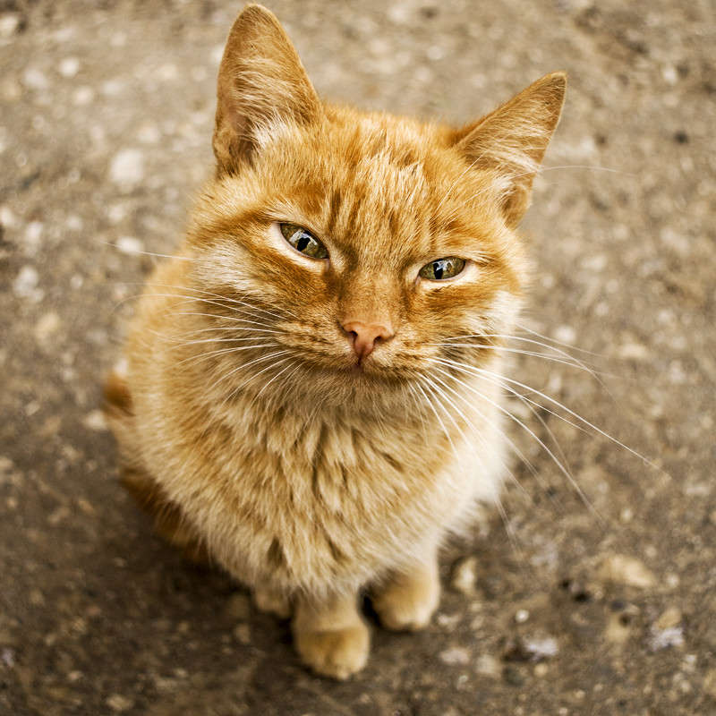 ... ����� ����  �� PhotoGeek.ru #�������� ��� #�������