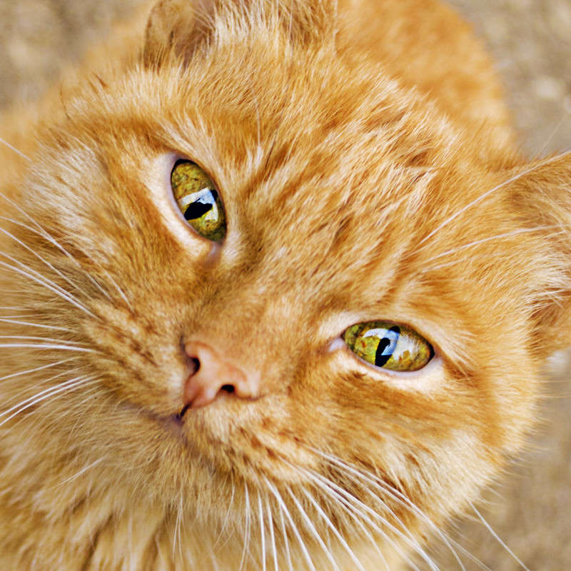 ... ����� ����  �� PhotoGeek.ru #�������� ��� #�������