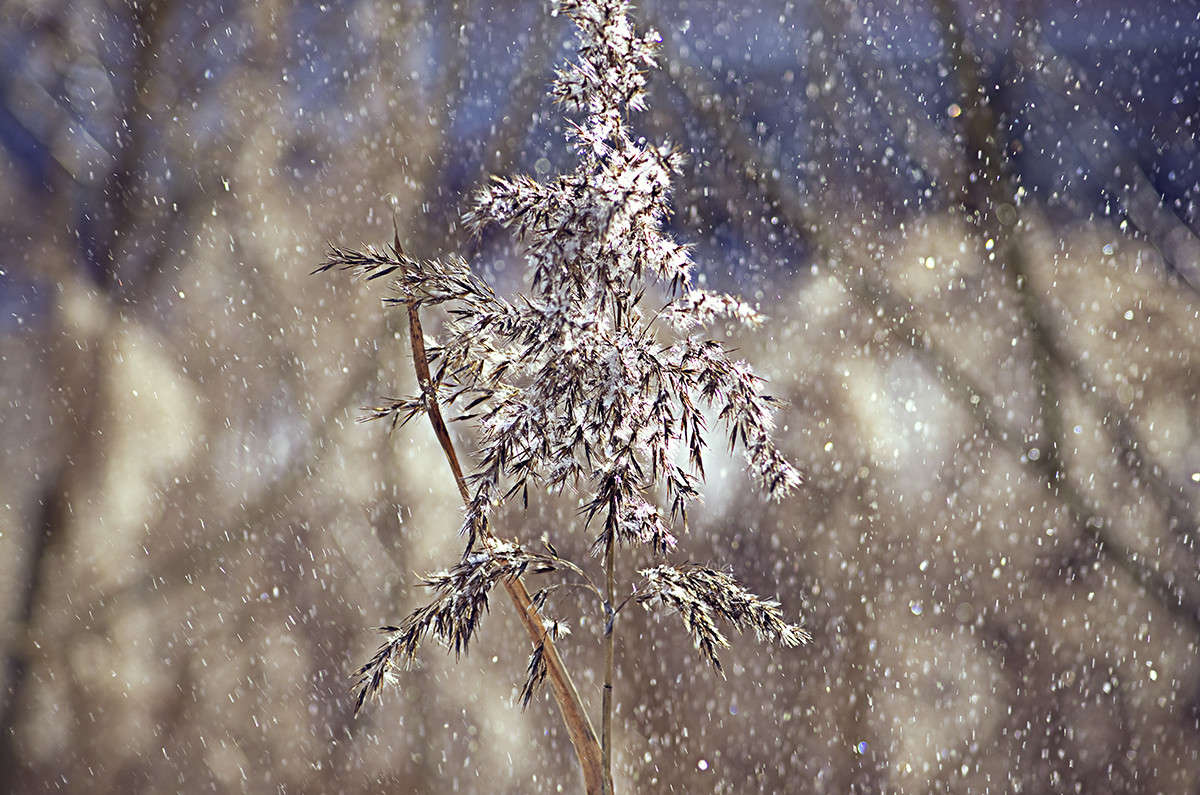 ... ����� ����  �� PhotoGeek.ru #������ ��� ������� #������