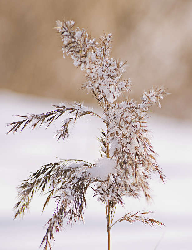 ... ����� ����  �� PhotoGeek.ru #������ ��� �������